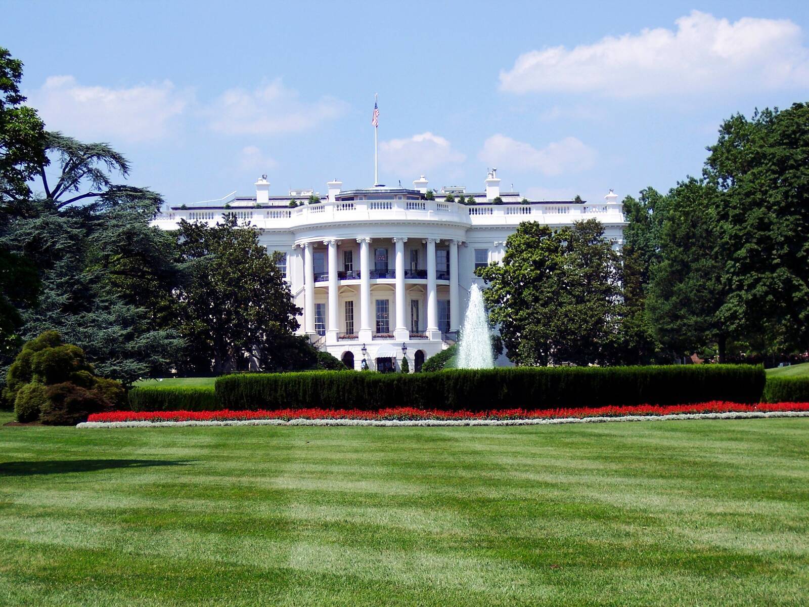Government